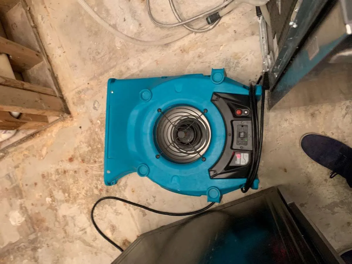 Air mover drying equipment for Mold Remediation & Removal in Unity